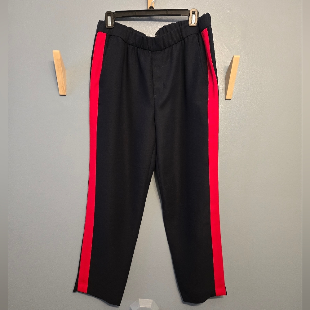 Banana Republic Navy Pants with Red Stripes